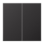 Jung AL2995D Wippe 2-fach Aluminium lackiert Serie LS dark (lackiertes Aluminium) 