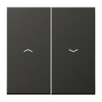 Jung AL2995PAN Wippe 2-fach mit Pfeilsymbolen Aluminium lackiert Serie LS anthrazit (lackiertes Aluminium) 