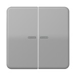 Jung BTCD17102GR JUNG HOME Taster 2-fach Duroplast Serie CD grau 