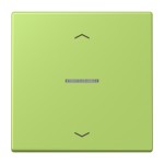 Jung BTLC17101P221 JUNG HOME Taster 1-fach mit Pfeilsymbolen Serie LS vert clair 