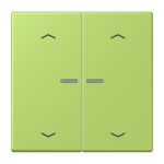 Jung BTLC17102P221 JUNG HOME Taster 2-fach mit Pfeilsymbolen Serie LS vert clair 