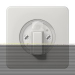 Jung CD1541LG Abdeckung für Drehschalter Duroplast Serie CD lichtgrau 