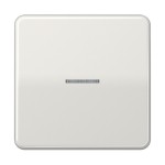 Jung CD590KO5LG Wippe 1-fach mit Lichtleiter Duroplast Serie CD lichtgrau 