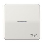 Jung CD590KO5LLG Wippe 1-fach mit Lichtleiter Symbol Licht Duroplast Serie CD lichtgrau 