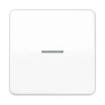 Jung CD590KO5WW Wippe 1-fach mit Lichtleiter Duroplast Serie CD alpinweiß 