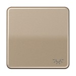 Jung CD590LGB Wippe 1-fach Symbol Licht Aluminium eloxiert Serie CD gold-bronze 