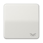 Jung CD590LLG Wippe 1-fach Symbol Licht Duroplast Serie CD lichtgrau 