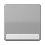 Jung CD590NAGR Wippe 1-fach mit Schriftfeld Duroplast Serie CD grau 