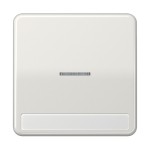 Jung CD590NAKO5LG Wippe 1-fach mit Lichtleiter mit Schriftfeld Duroplast Serie CD lichtgrau 