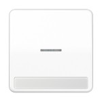 Jung CD590NAKO5WW Wippe 1-fach mit Lichtleiter mit Schriftfeld Duroplast Serie CD alpinweiß 