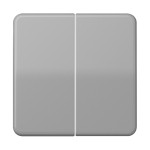 Jung CD595BFGR Wippe 2-fach Thermoplast Serie CD grau 
