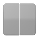 Jung CD595GR Wippe 2-fach Duroplast Serie CD grau 