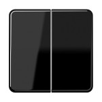Jung CD595SW Wippe 2-fach Duroplast Serie CD schwarz 