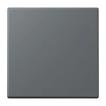 Jung ENOLC990202 EnOcean Funk-Wandsender 2-kanalig Serie LS gris foncé 31 