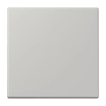 Jung ENOLC990205 EnOcean Funk-Wandsender 2-kanalig Serie LS gris clair 31 