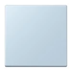 Jung ENOLC990208 EnOcean Funk-Wandsender 2-kanalig Serie LS outremerclair 