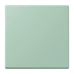 Jung ENOLC990217 EnOcean Funk-Wandsender 2-kanalig Serie LS vert anglais clair 
