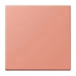 Jung ENOLC990233 EnOcean Funk-Wandsender 2-kanalig Serie LS l'ocre rouge moyen 