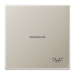 Jung ES2990KO5L Wippe 1-fach mit Lichtleiter Symbol Licht Serie LS Edelstahl 