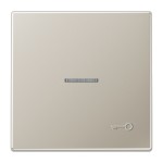 Jung ES2990KO5TP Wippe mit Lichtleiter Symbol Tür (geprägt) Serie LS Edelstahl 