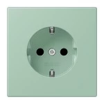 Jung LC1521217 SCHUKO Steckdose 16A 250V Schraubklemmen Serie LS vert anglais clair 