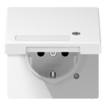 Jung LS1520NAKLKOWW SCHUKO Steckdose 16A 250V mit Funktionsanzeige mit Schriftfeld integrierter erhöhter Berührungsschutz SAFETY+ Klappdeckel Thermoplast Seri 