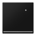 Jung LS1539-OSWMLNW LED-Orientierungslicht mit integriertem Helligkeitssensor Thermoplast lackiert Serie LS graphitschwarz matt 
