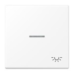 Jung LS990KO5LWWM Wippe 1-fach mit Lichtleiter Symbol Licht Serie LS schneeweiß matt 
