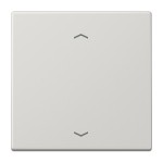 Jung LS990PLG Wippe 1-fach mit Pfeilsymbolen Duroplast Serie LS lichtgrau 