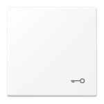 Jung LS990TWWM Wippe Symbol Tür Serie LS schneeweiß matt 
