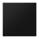 Jung LS994BSWM Blind-Abdeckung (gerastet) Thermoplast lackiert Serie LS graphitschwarz matt 