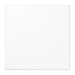 Jung LS994BWW Blind-Abdeckung (gerastet) Thermoplast Serie LS alpinweiß 