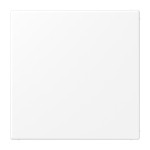 Jung LS994BWWM Blind-Abdeckung (gerastet) Thermoplast lackiert Serie LS schneeweiß matt 