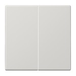 Jung LS995LG Wippe 2-fach Duroplast Serie LS lichtgrau 