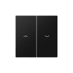 Jung LS995PSWM Wippe 2-fach mit Pfeilsymbolen Serie LS graphitschwarz matt 