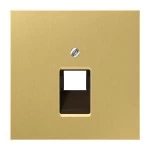 Jung ME2969-1UAC Abdeckung für IAE/UAE-Anschlussdosen 1x8-polig Messing Serie LS Messing classic 