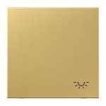 Jung ME2990LC Wippe 1-fach Symbol Licht Messing Serie LS Messing classic 