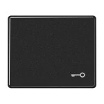 Jung SL590TSW Wippe Symbol Tür Aluminium lackiert Serie SL schwarz 