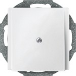 Merten 295619 Zentralplatte Leitungsauslass polarweiß System M 