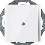 Merten 296319 Zentralplatte Leitungsauslass polarweiß glänzend System M 