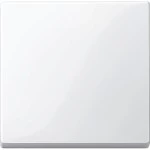 Merten 432119 Wippe polarweiß glänzend System M 