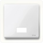 Merten 432719 Wippe mit rechteckigem Symbolfenster IP44 polarweiß glänzend System M 