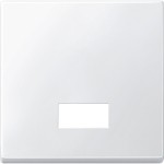 Merten 433819 Wippe mit rechteckigem Symbolfenster polarweiß System M 