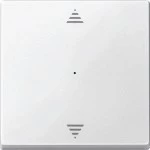 Merten 625519 Wippe für Tastermodul 1-fach mit Aufdruck Pfeile Auf/Ab polarweiß System M 