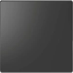 Merten MEG3300-6034 Wippe Anthrazit System Design 
