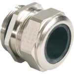 Kaiser 1000.11/4NPT Kabelverschr. Progress Ms NPT 1 1/4" Kabel Ø 24.0-33.0 mm (UL 27.0-27.0 mm) 10 Stück 