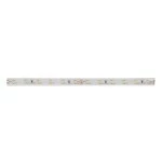 Brumberg 15271004 LED-Flexplatine IP67 5 Meter 4,8 W/m 24V DC 4000K CRI > 90 Maße: L x B x 