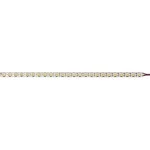 Brumberg 15311003 LED-Flexplatine IP00 5 Meter 18 W/m 12V DC 3000K CRI > 90 OneCut Maße: 