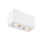 SLV 1002006 TRILEDO, double, Indoor Deckenaufbauleuchte, eckig, QPAR51, weiß, max 10 W 