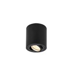 SLV 1002010 TRILEDO, single, Indoor Deckenaufbauleuchte, rund, QPAR51, schwarz, max 10 W, rund 
